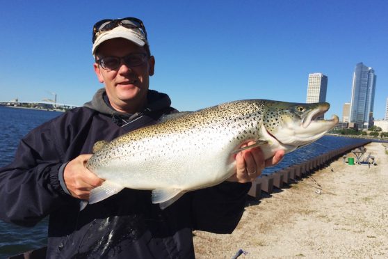 Slashing Trout and Salmon: Rip and slash baits are a new twist to