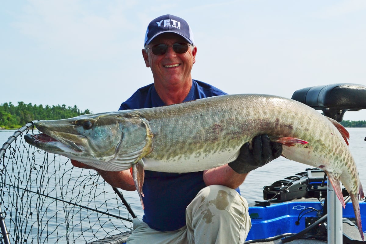 Can a Muskie Pull you Overboard? - MidWest Outdoors