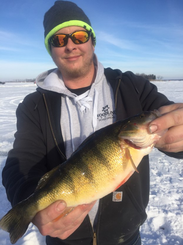 Devils Lake ice fishing report from Woodlands Resort perch and walleye ...