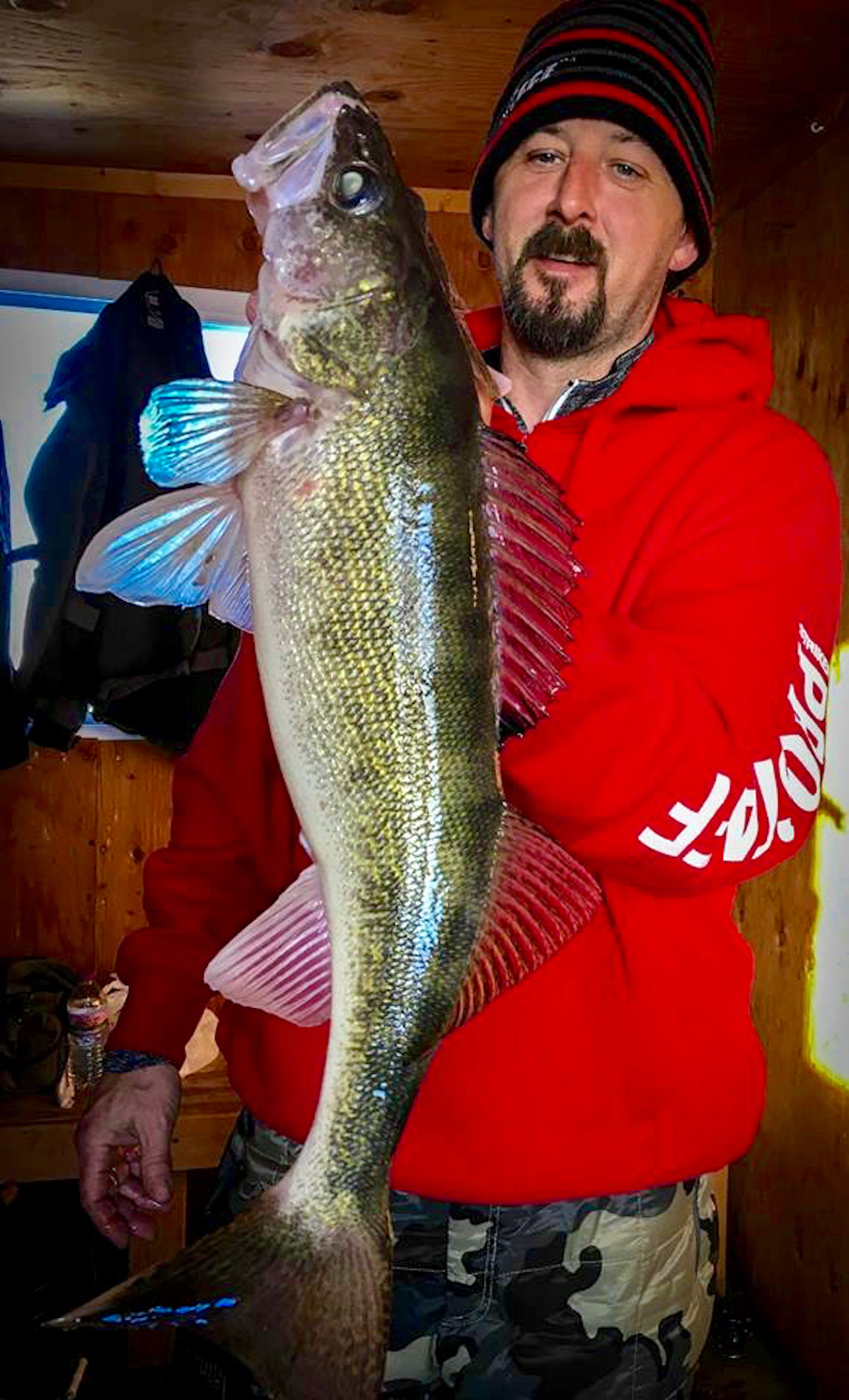 Ice action for walleyes and saugers is great on Lake of the Woods with