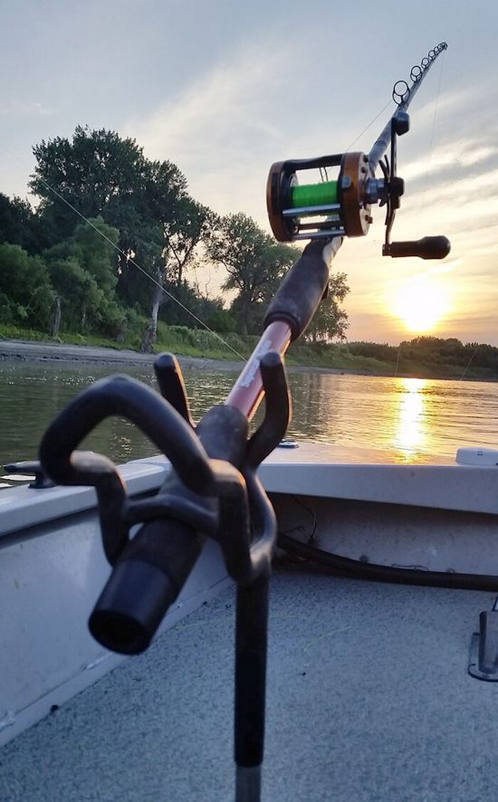 Choosing the Right Catfish Rod Best catfish fishing rods Catfish