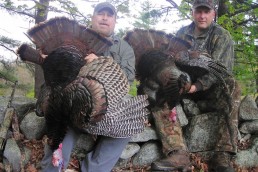Spring Turkey Hunting | roosting spring turkeys | finding roosting turkeys | turkey hunting during spring | how to hunt for turkeys