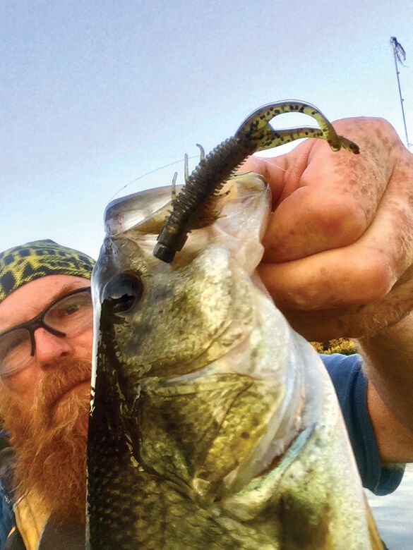 Fishing a Ned Rig, Dave Mull Fishing