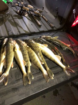 Wading for walleyes is productive