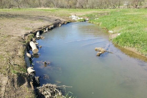 Many cut logs jutting from the bank of a stream, exposed by erosion.