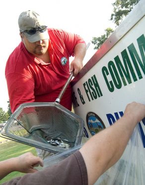 Transferring young fish via net to a bag for distribution across Arkansas backwaters during the Big Bass Bonanza.