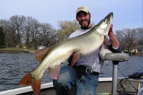 Summertime fisherman Joel Michel on a boat in the Fox Chain of Lakes displaying a freshly caught 49.5 inch muskie.