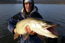Man in winter clothing with a very large muskie.