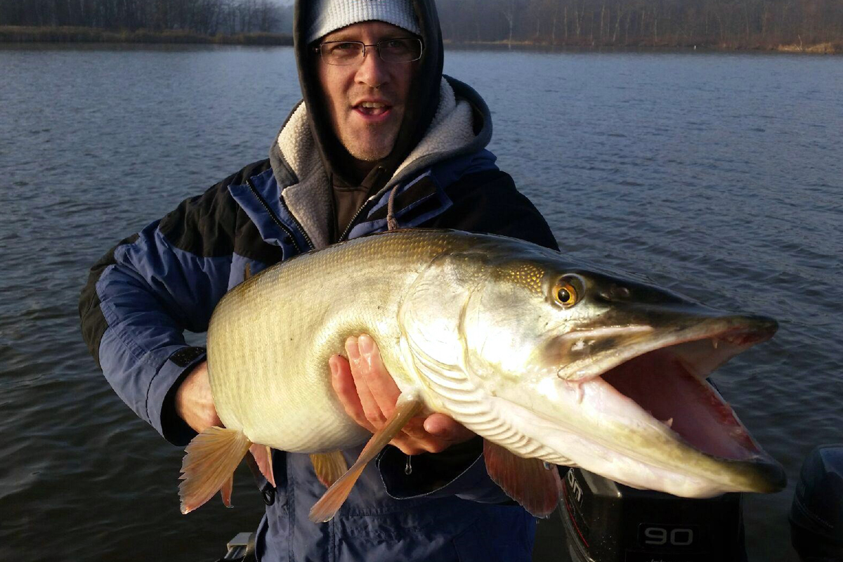 Coming up just shy of catching Illinois' biggest lake trout