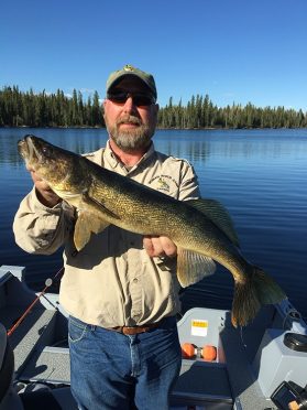 Fisherman Paul Mossip displays a very large walleye freshly caught from the Woman River in Ontario and ready to be released. 