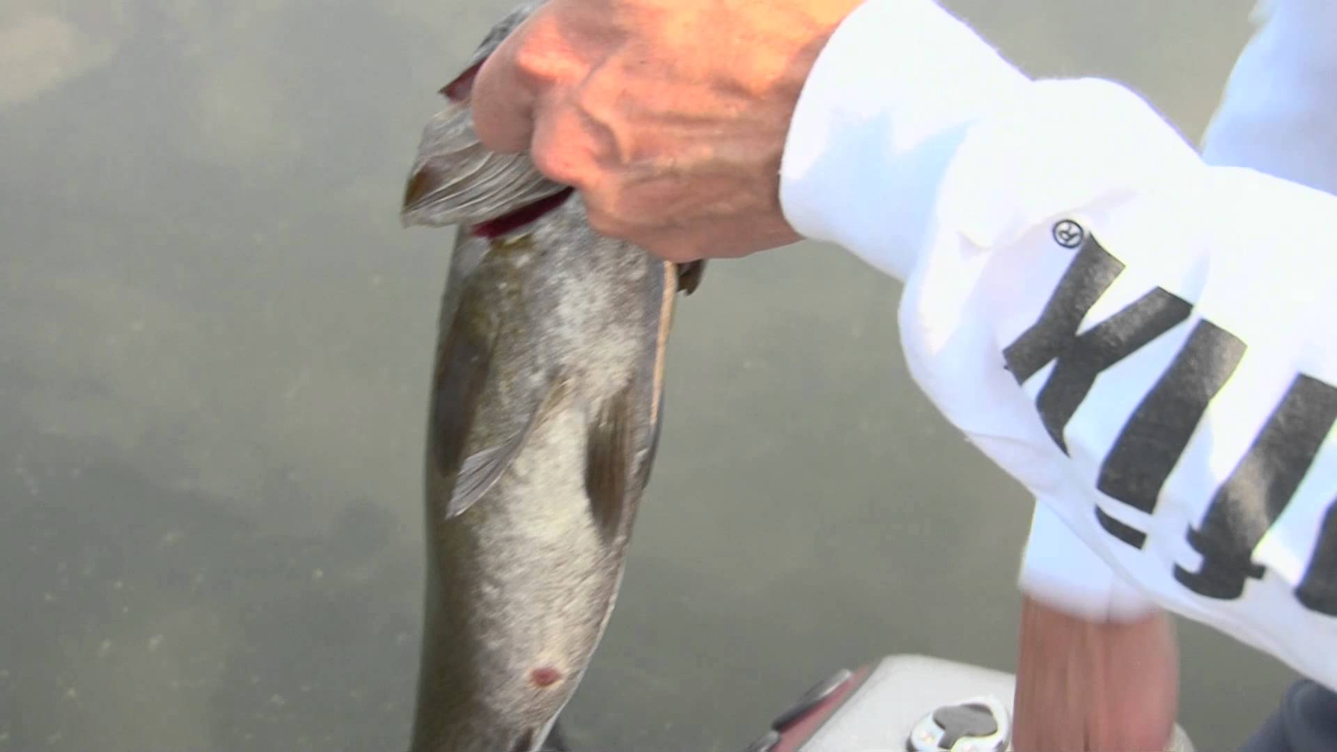 Tactics for fall bass in the Upper Midwest MidWest Outdoors