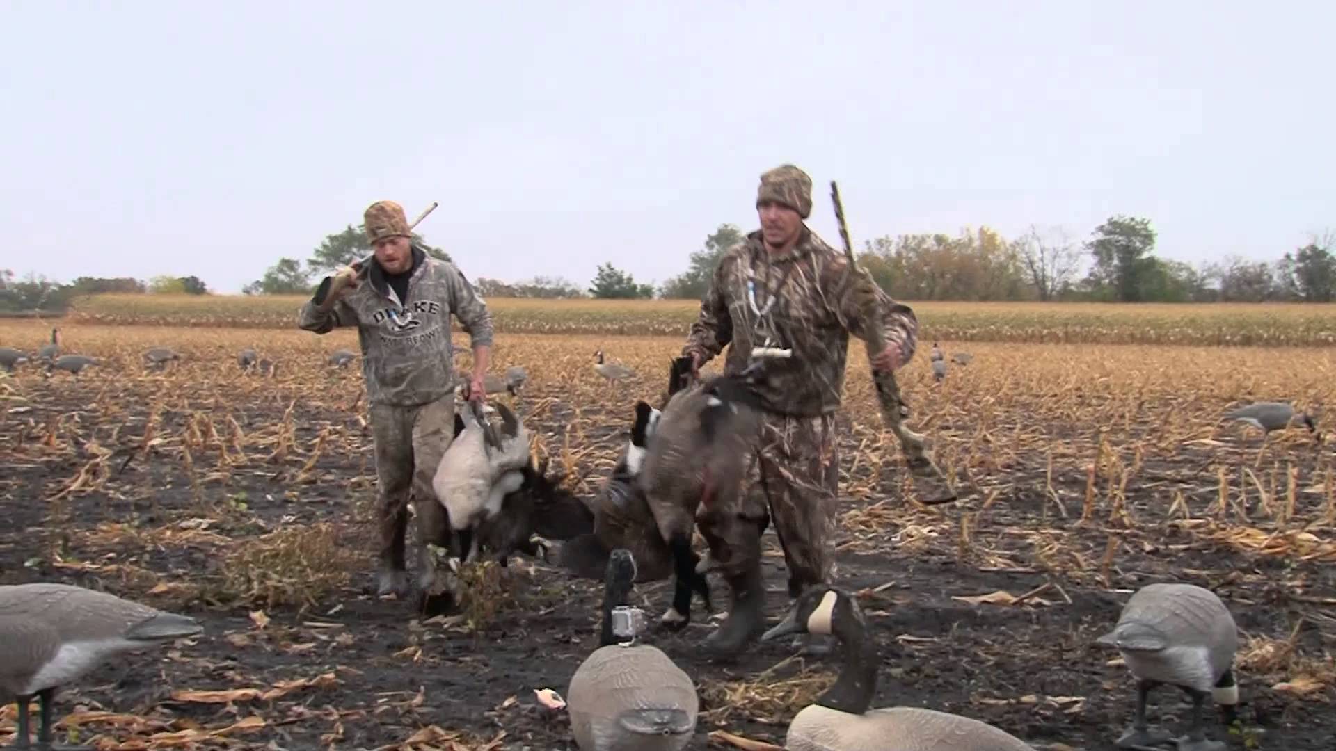 Goose hunting in Minnesota - MidWest Outdoors