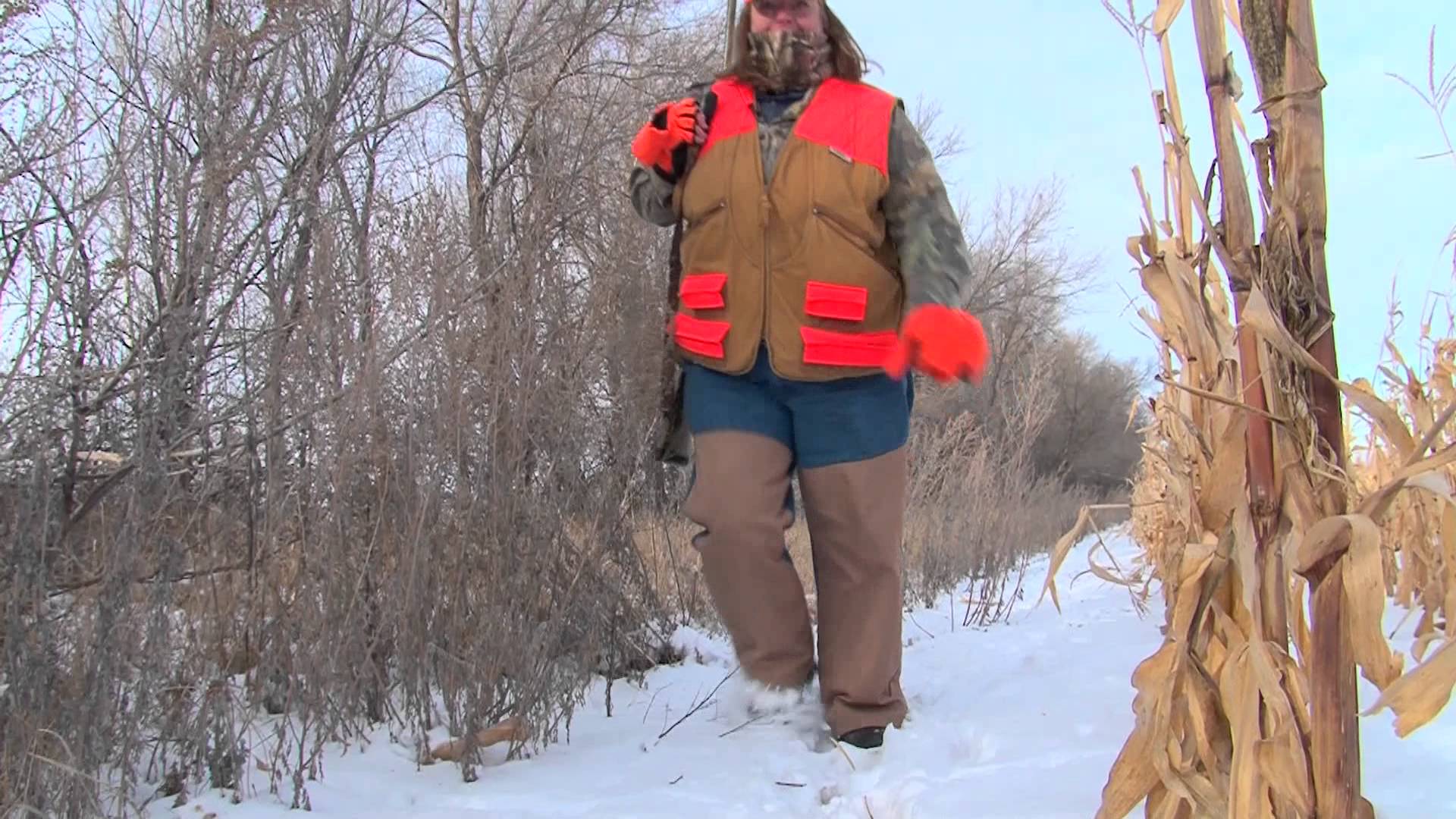 1548 Pheasant hunting in Harvey, North Dakota MidWest Outdoors