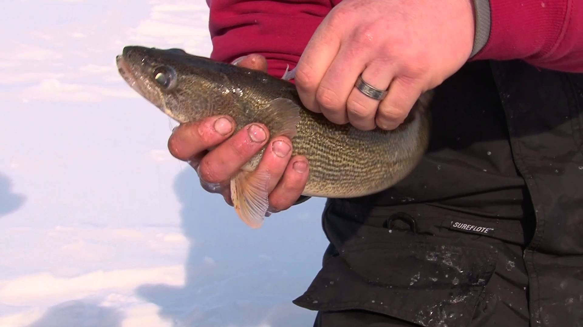 Lake Winnebago Ice Fishing - MidWest Outdoors