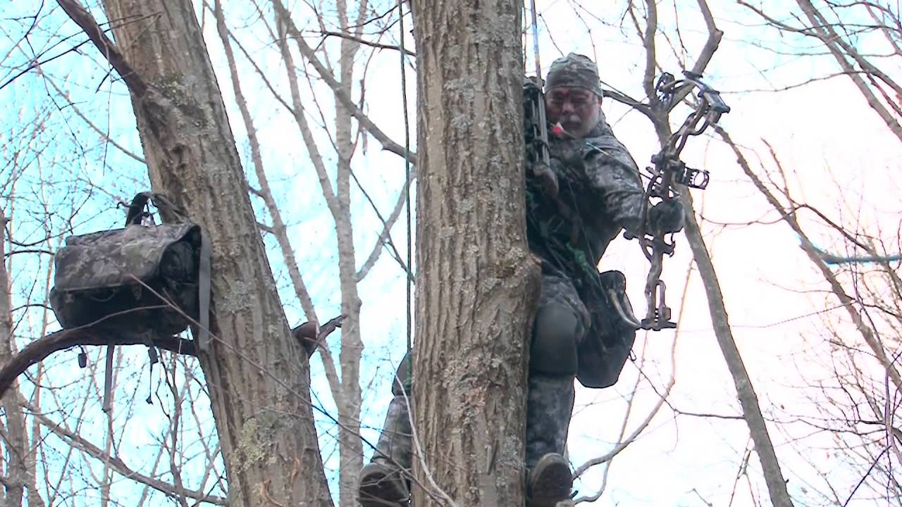 tip: hunting from a tree saddle - midwest outdoors