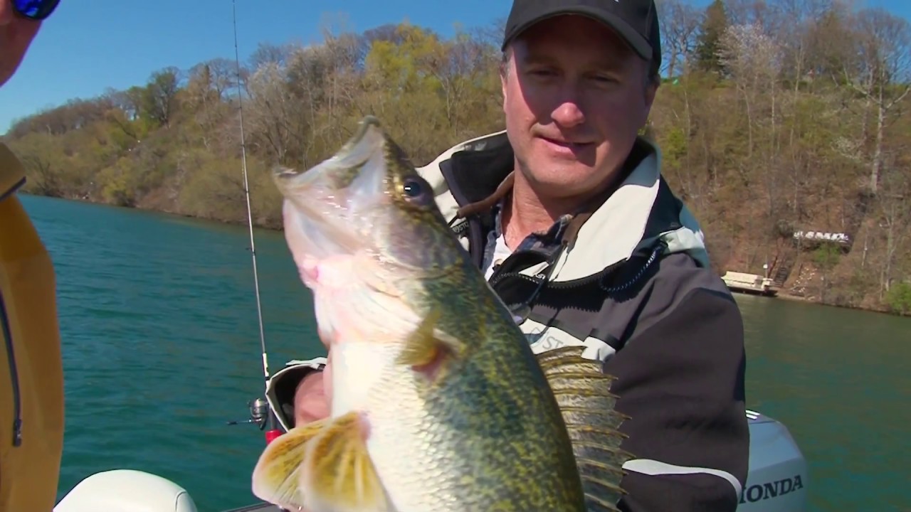 Niagara River Multi Species Fishing - MidWest Outdoors