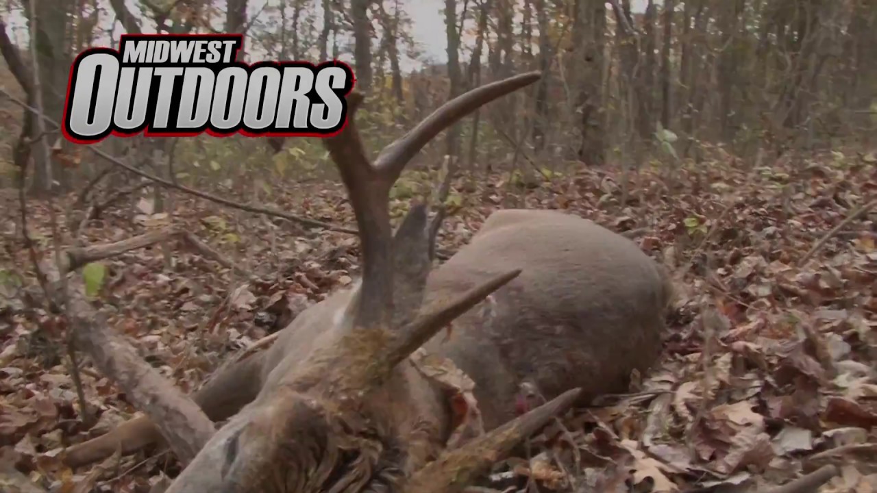 1648 Wisconsin Public Land Whitetail Bowhunt MidWest Outdoors