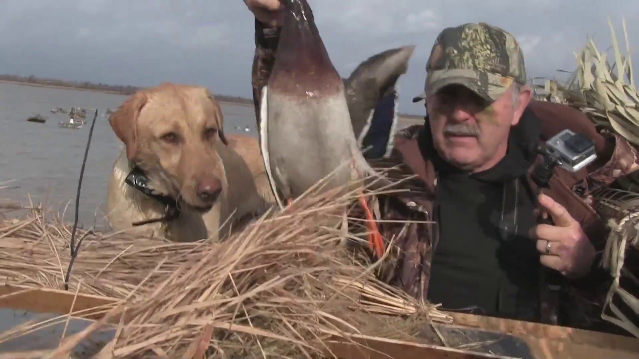 missouri-duck-hunting-midwest-outdoors