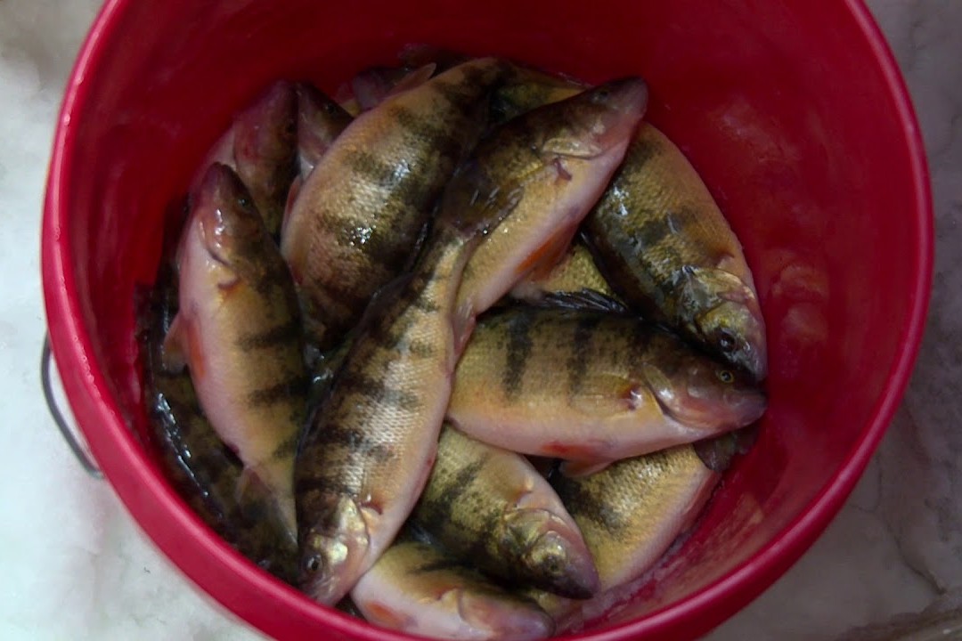 Stone Lake Ice Fishing Bowl