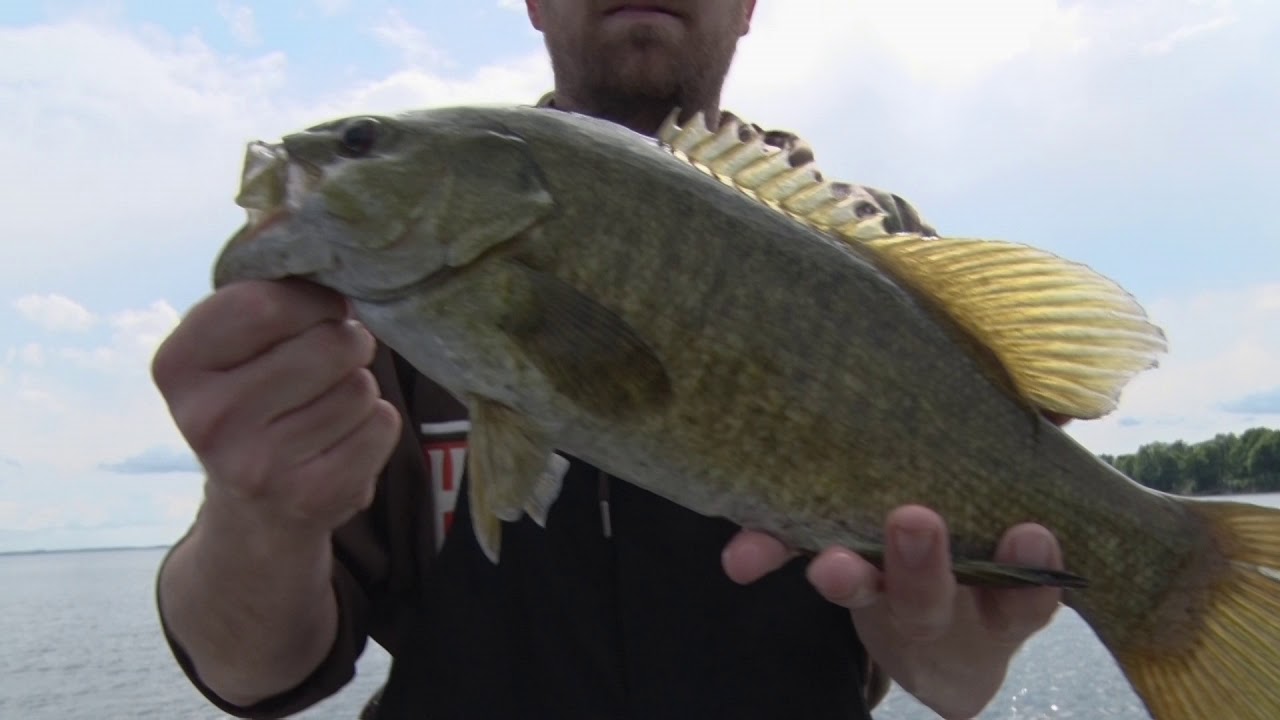 1666 Mille Lacs Smallmouth Extravaganza at Hunter’s Point Resort