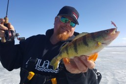 March ice-fishing yielded this dandy fish for author Brosdahl.