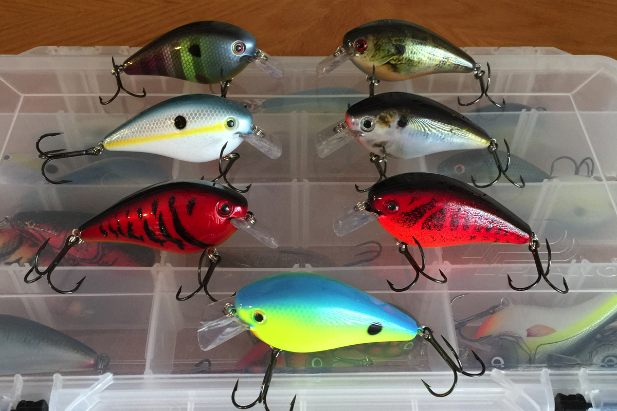 What Color Lure Should I Use? Lure Color Selection