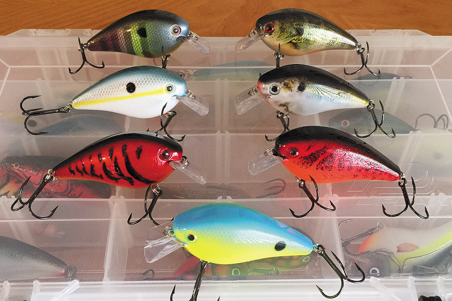 A foolproof fishing lure