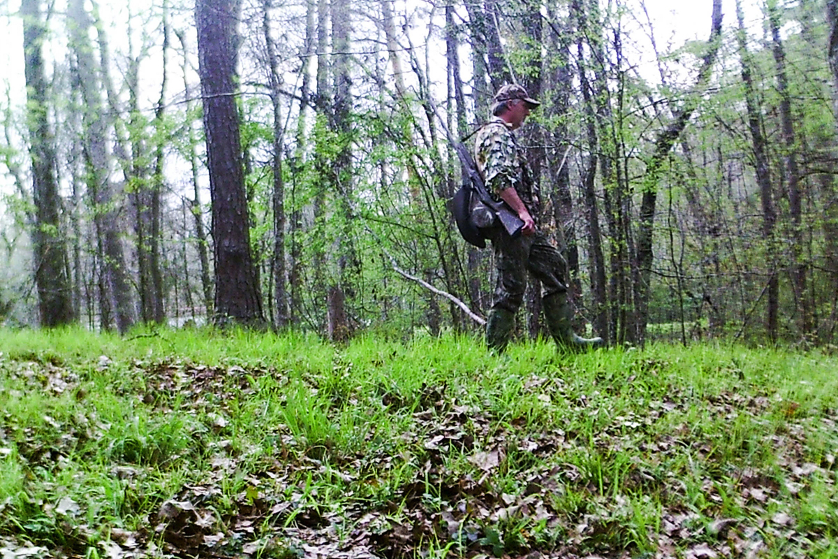 Turkey Hunt turkey scouting Turkey Hunting trail game cameras