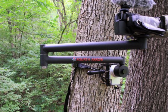 : Rock solid on the tree, the Fourth Arrow Arm provides a solid, stable platform that will increase the quality of your hunt footage.