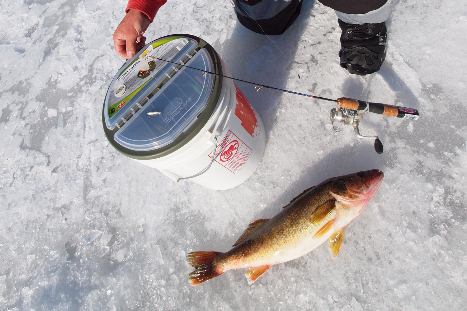 Early Ice Perch Fishing - Catch Cover