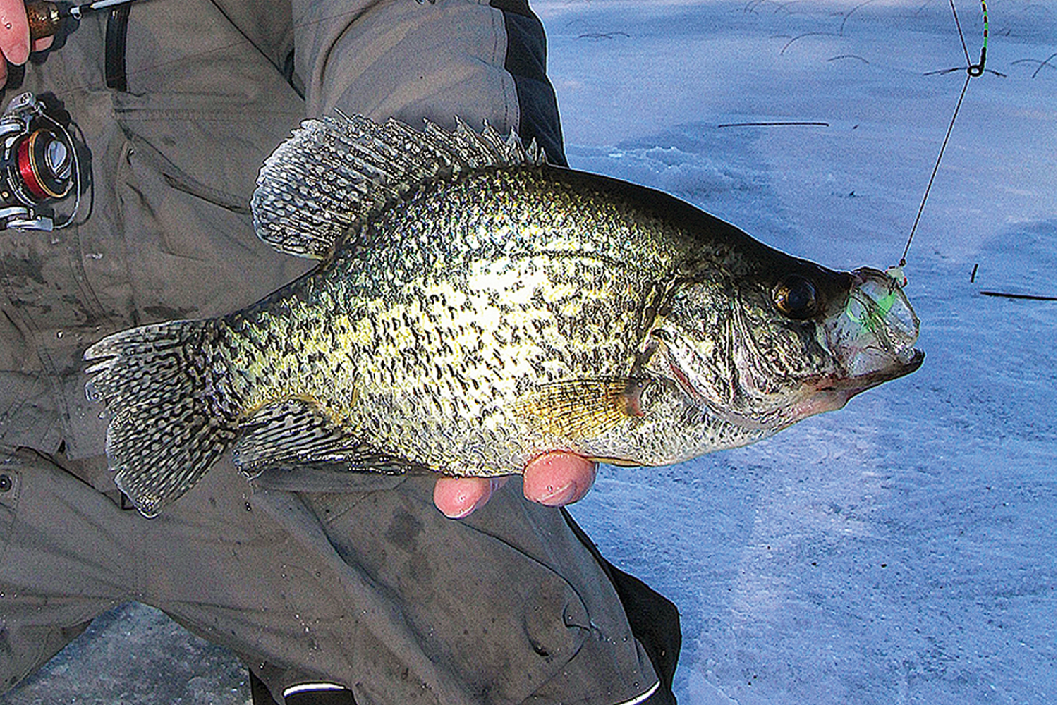 Jig Sticks for Giant Crappies 