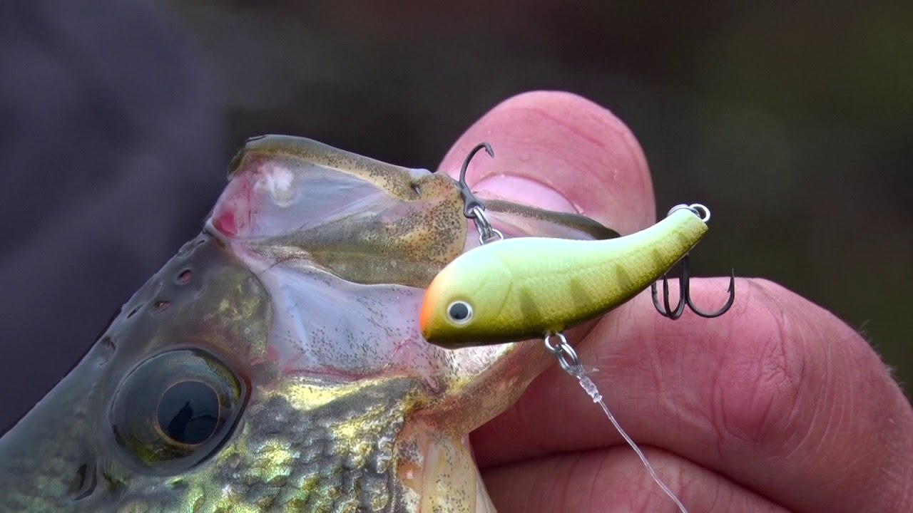 slab rap lure