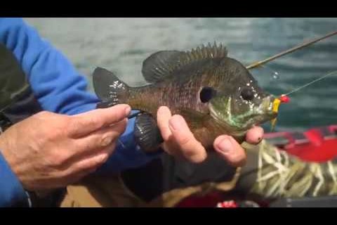 South Bend's Fishing Reels - MidWest Outdoors
