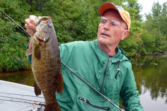 Fishing a Ned Rig, Dave Mull Fishing