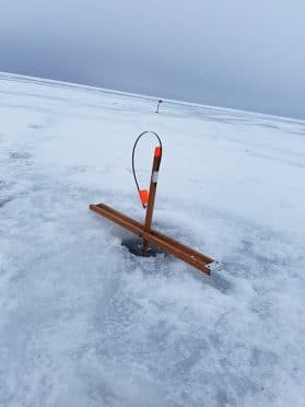 https://midwestoutdoors.com/wp-content/uploads/2019/01/Houser-CatfishThroughIce5-279x372.jpg