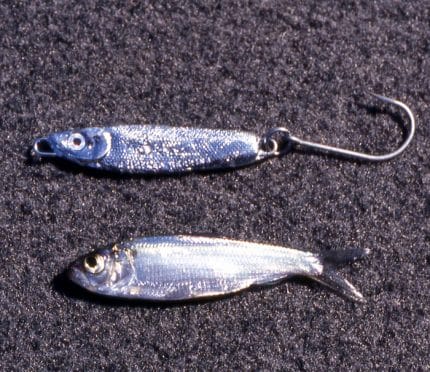 How To Fish a Jigging Spoon for Late Summer Bass - Bait School