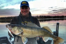 Jason Mitchell offers insights for catching big walleyes with jerkbaits. Pictured is a trophy walleye caught with the Salmo Rattlin’ Sting.
