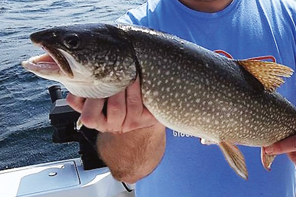 Go High and Fast for Lake Trout - MidWest Outdoors
