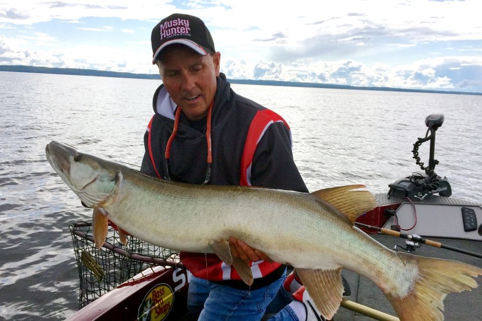 Jim Saric Fall Muskie Fishing Jim Saric pro muskie fishing tips during