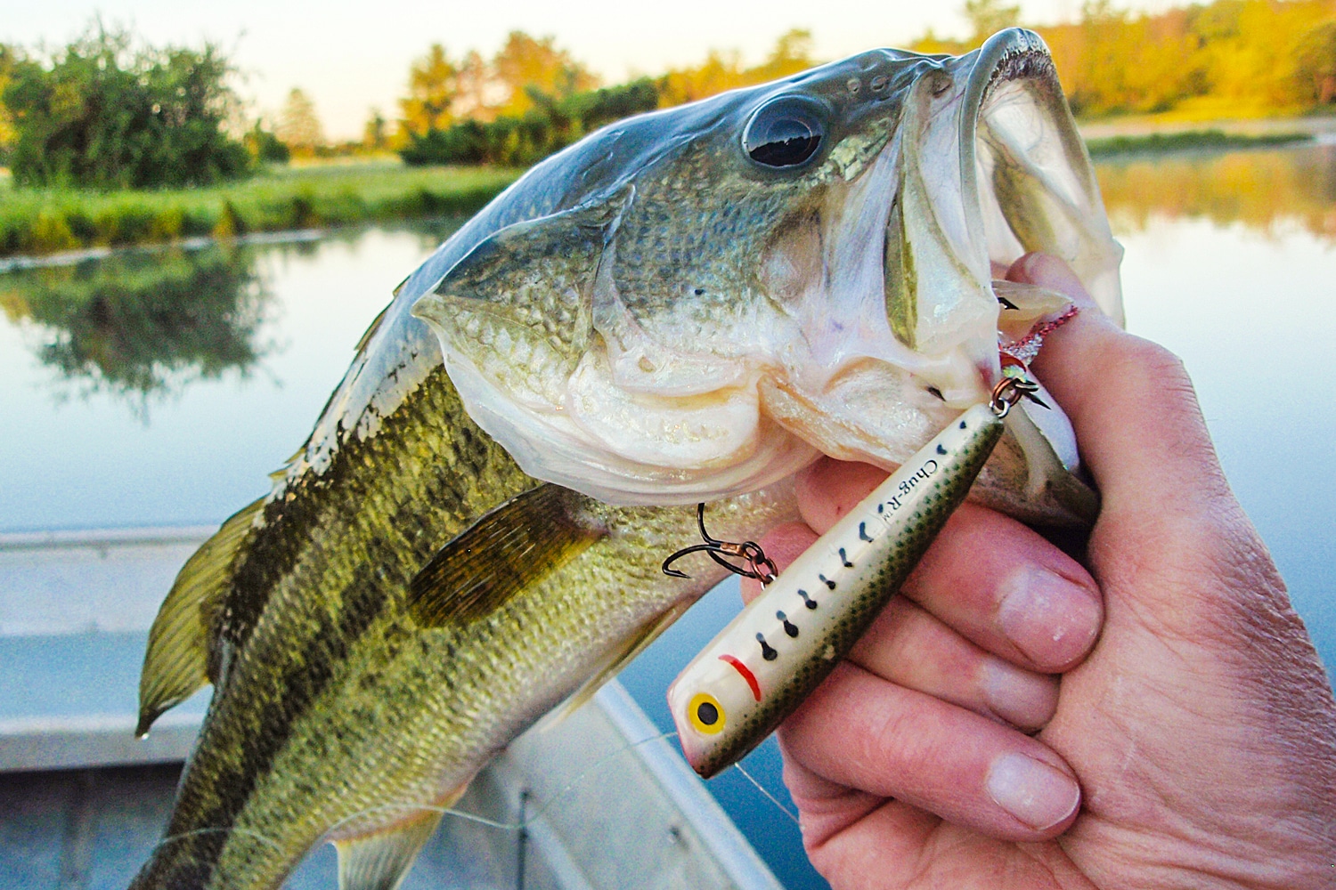 Dawn is a Darned Good Time for Bass Fishing - MidWest Outdoors