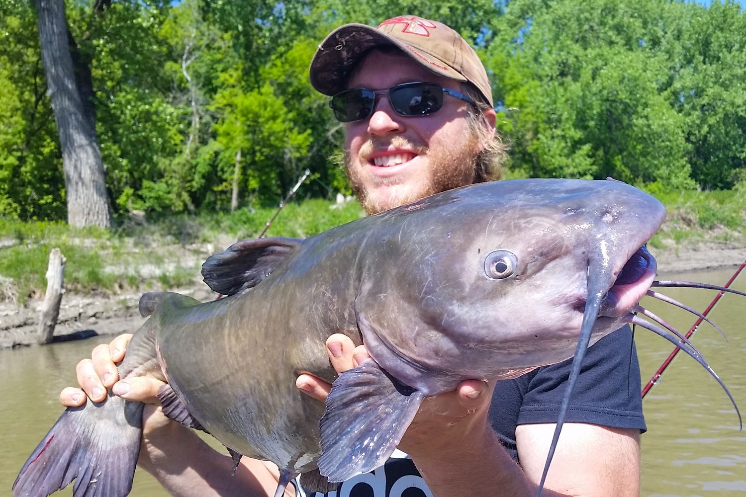 Catching Spawning Catfish MidWest Outdoors