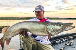 summer muskie locations | bucktail fishing for muskies | summer muskie fishing tips | how to catch muskies during summer | muskie fishing august