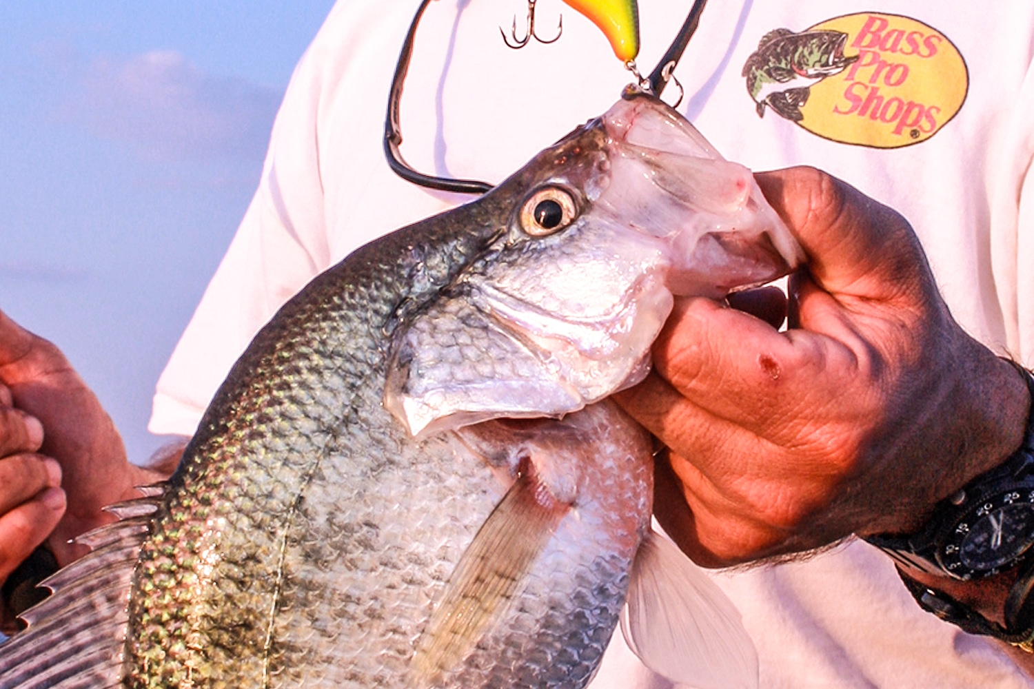 3 Crankbait Tactics for Summer Crappies - MidWest Outdoors