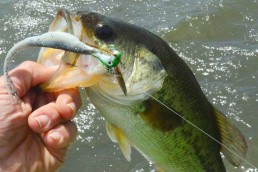  Red fishing hooks | Daiichi Bleeding Bait | Tru Turn Blood Red Fishing hook | Crappie Nibbles | Kick’N Crappie