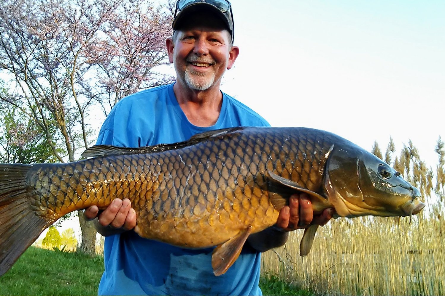 Nothing to be 'Koi' About: Spring Carp on the 'Fly' - MidWest Outdoors