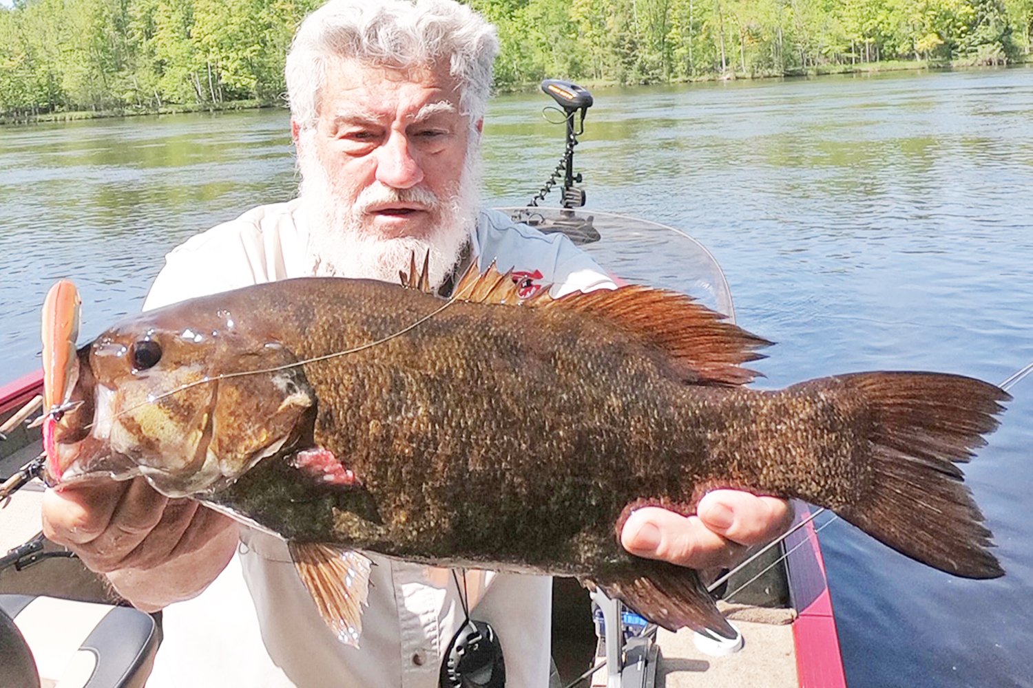 Topwater for Post-Spawn River Smallmouth