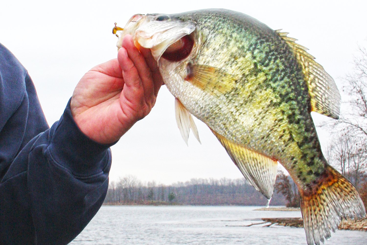 Crappie, Rocks, and Boulders