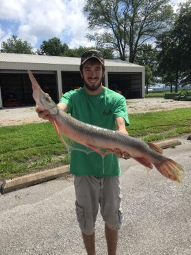 Illinois Record Spotted Gar