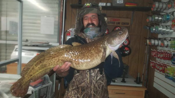 New Illinois State Record Smallmouth Bass Gobbles Z-Man Ned Rig - On The  Water