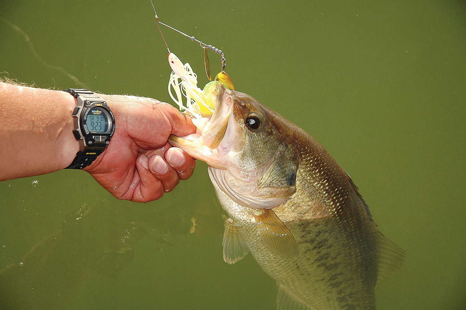 Start Thinking Open Water Now - MidWest Outdoors